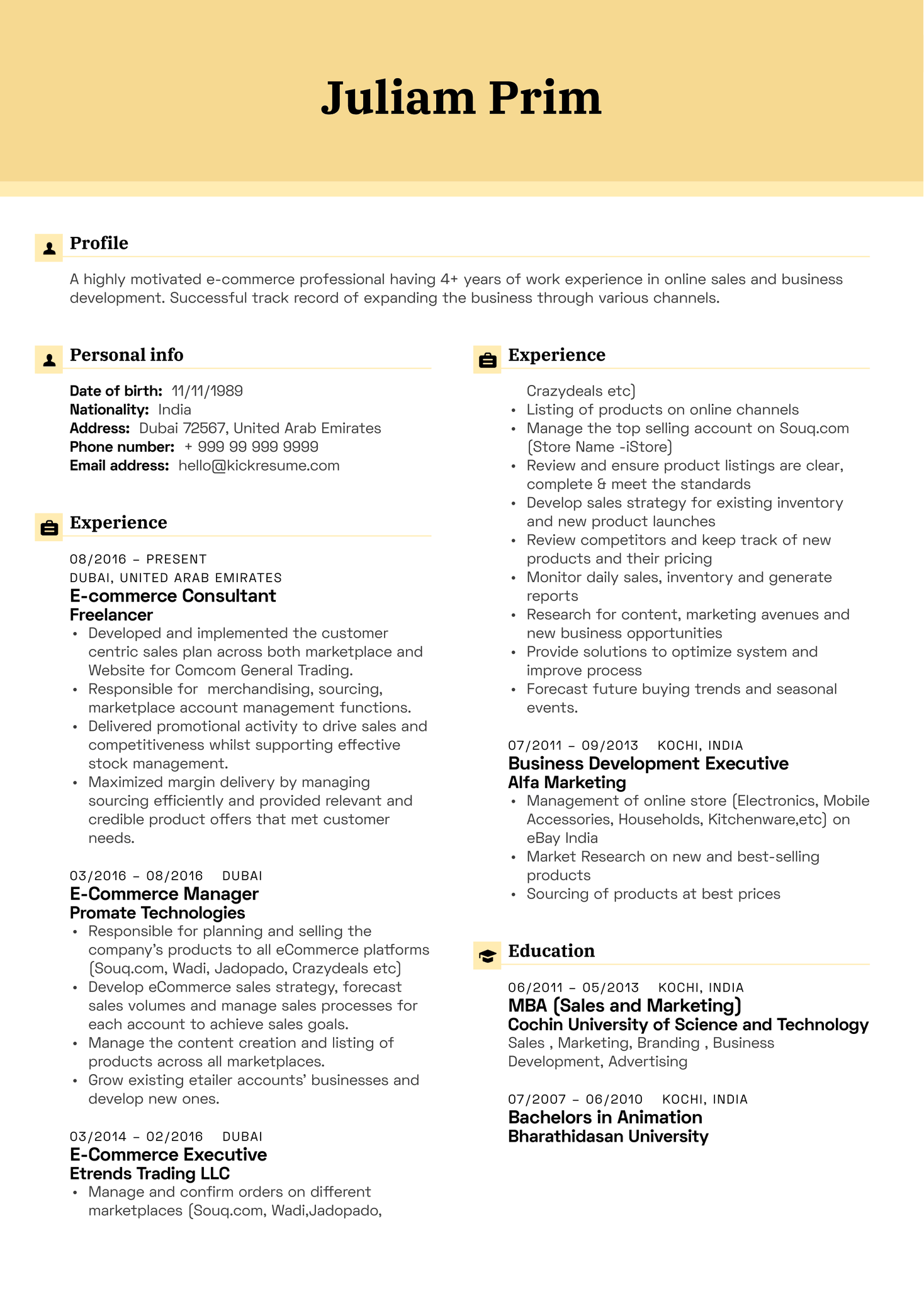 Ecommerce Resumes Sample