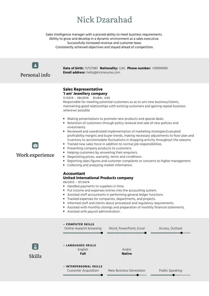 Modello di curriculum del rappresentante di vendita Adidas
