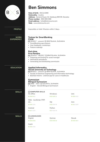 Amostra do CV do Consultor Junior Data Analytics