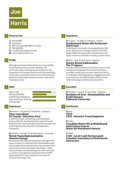 Esempio di curriculum vitae per rappresentante vendite e clienti