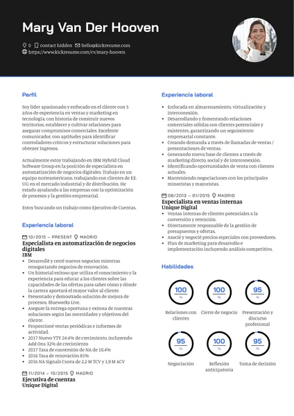Esempio di curriculum per account Google
